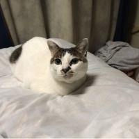 ササキユウコ 会員画像