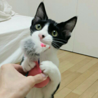 exomexok 会員画像