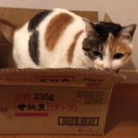 CKWS 会員画像