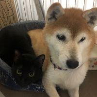 トトロのめい 会員画像