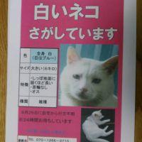 会員画像