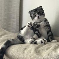 ティパちゃん 会員画像