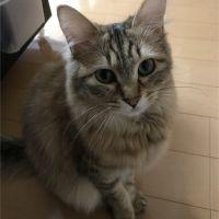 はせとも 会員画像