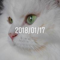 あーたんママ 会員画像