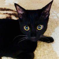 キマリママ 会員画像