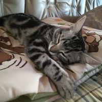 はっぴーJYJ さん