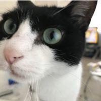 ゆきえこ 会員画像