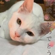ホタタ 会員画像