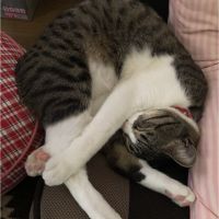 会員画像
