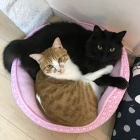 会員画像