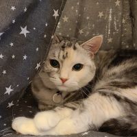 saya-さん