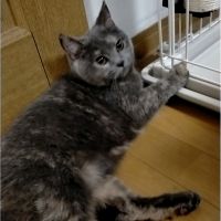 豪くん 会員画像