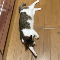 会員画像