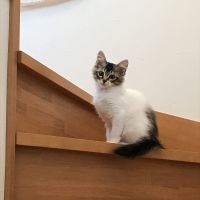 ちゃろくんさん