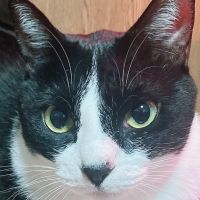 ぴの氏まる 会員画像