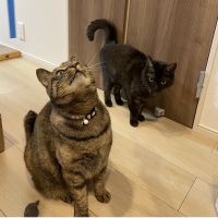 まろりー 会員画像