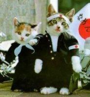 しほちび 会員画像