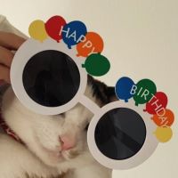 ながたにがわ 会員画像