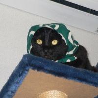 kasajizou 会員画像