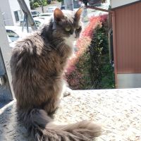10mocoさん