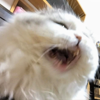 ぐまさん