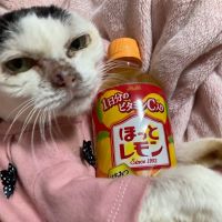 レモララさん
