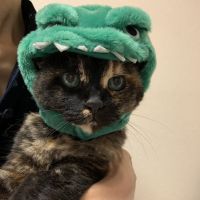 ぽてとさまさん