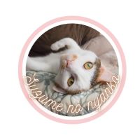 すずめのにゃんこさん
