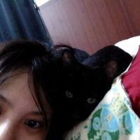 黒猫のタンゴくん 会員画像
