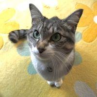 momocchi 会員画像