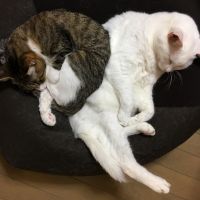 会員画像