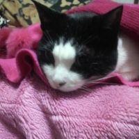 みゆこ 会員画像