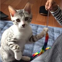 会員画像