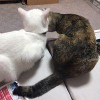 会員画像