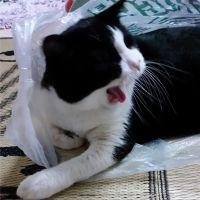 まーさんママ 会員画像