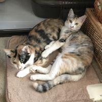 みきまつ 会員画像