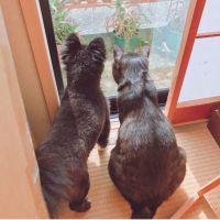 会員画像