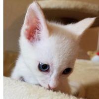 たのぶー 会員画像