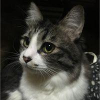 rana1605 会員画像