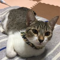 ヒロボウ 会員画像