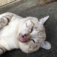 会員画像