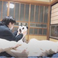 会員画像