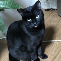 るみすけ 会員画像