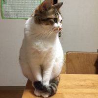 会員画像