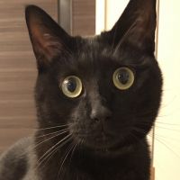 りむじん 会員画像