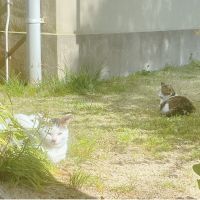 おーふみ 会員画像