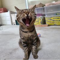 ふくしまリコさん