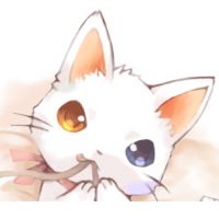 ちゃどしょな 会員画像