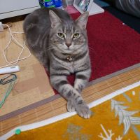 リク、ハル 会員画像