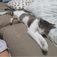 もちっ 会員画像